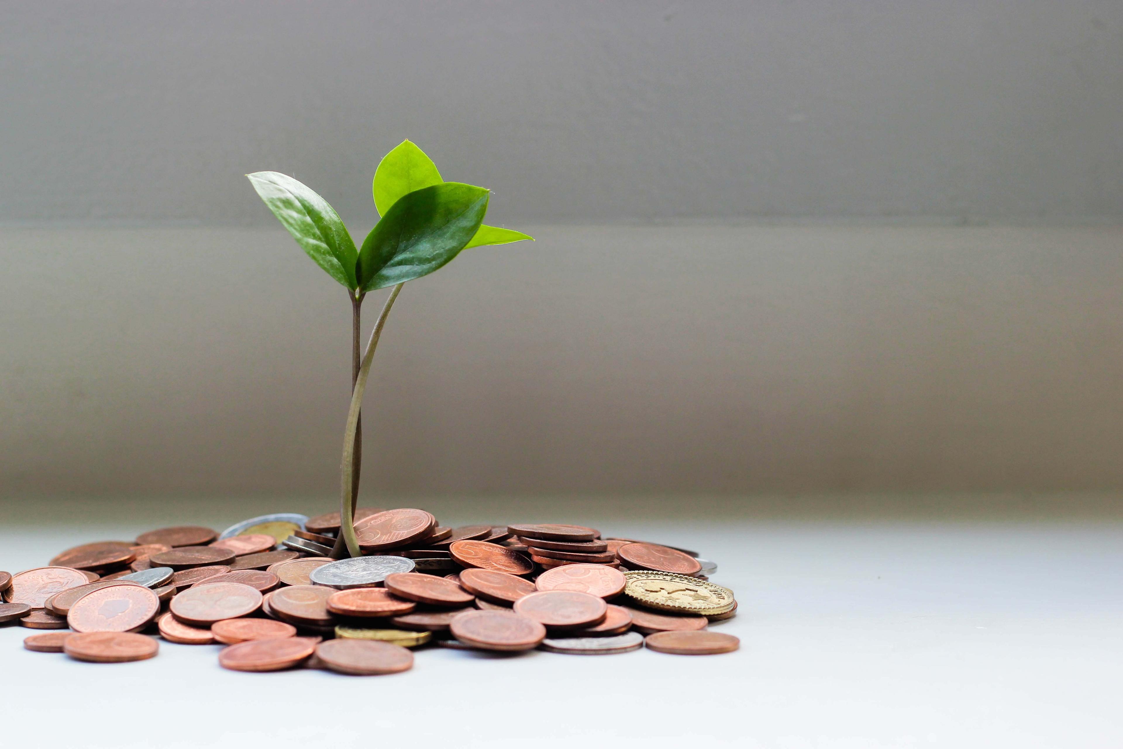 Consulting Government incentives